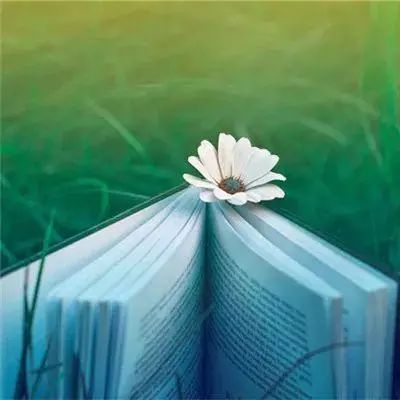 四个LV包被鉴定为假,消费者:福州路易威登专柜购买 专柜回应:售出均为正品